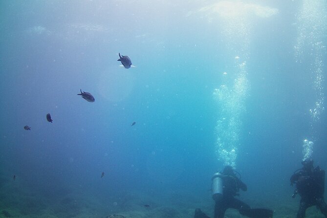 Double Shore Dive (certified divers) - Choosing Between Vouliagmeni, Katafygi Bay, and More