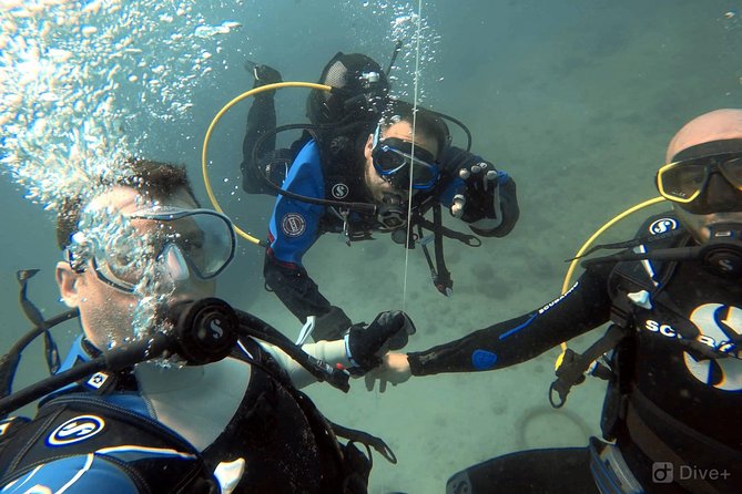 Double Shore Dive (certified divers) - The Price: Convenient, But Not a Bargain