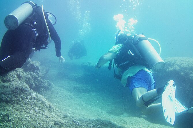 Double Shore Dive (certified divers) - Weather Changes Are Part of the Plan