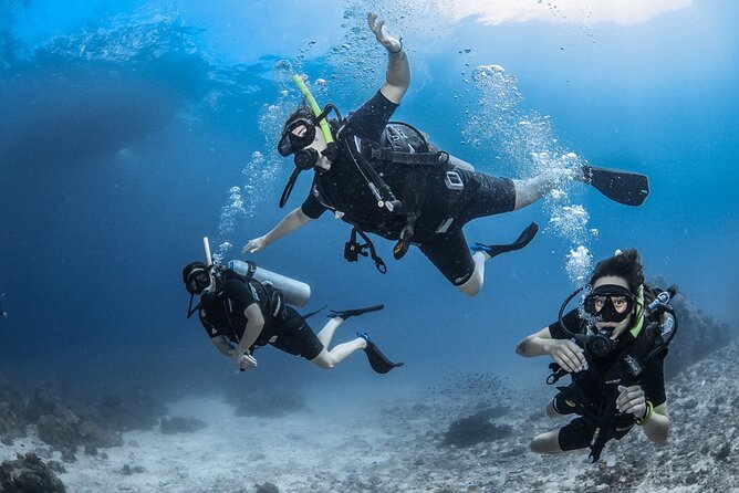 Dream to Dive full Course & private Dive Instructor PADI - Key points at a glance
