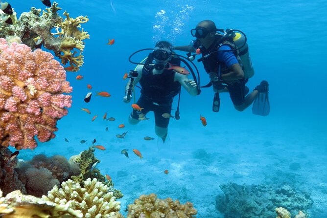 Dream to Dive full Course & private Dive Instructor PADI - What happens during the three days