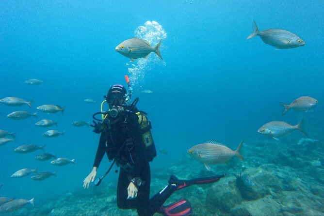 Dream to Dive full Course & private Dive Instructor PADI - The private car and 8:00 am start