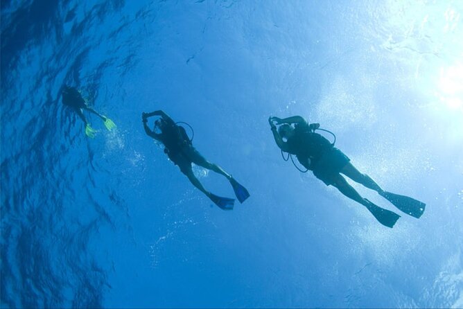 Dream to Dive full Course & private Dive Instructor PADI - The Red Sea setting and the sightseeing side
