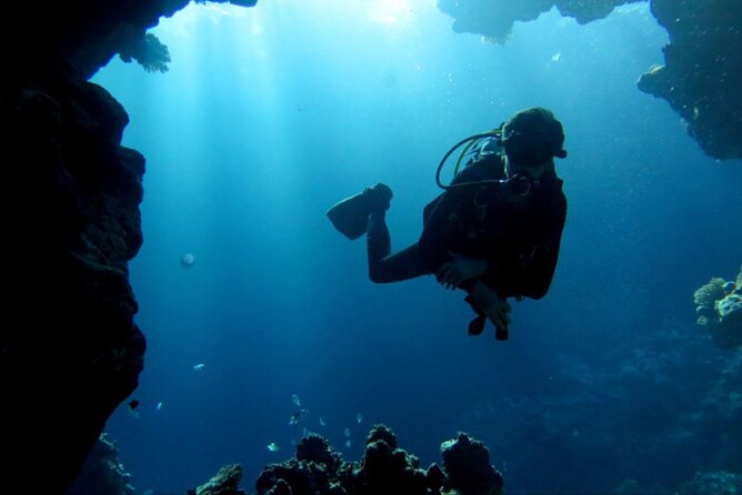 Dream to Dive full Course & private Dive Instructor PADI - What the excellent rating tells you, and what it does not