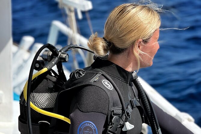 DSD | Discover scuba Diving Experience in Paros - Is $154.88 good value for three and a half hours?