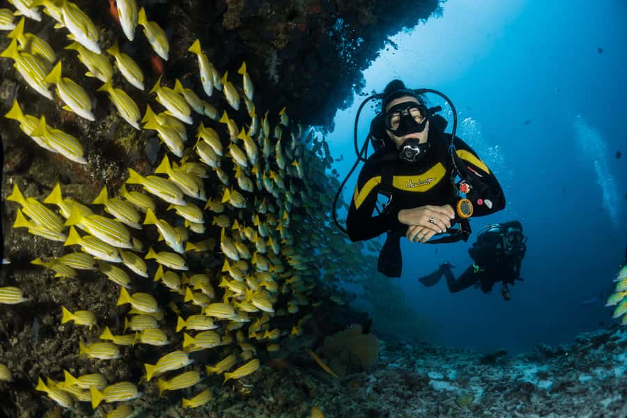 DSD Discover Scuba Diving for a beginner or Certified - Key points to know before you book