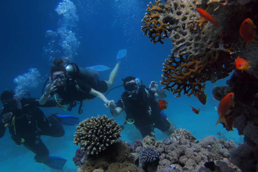 DSD Discover Scuba Diving for a beginner or Certified - Should you book this Red Sea session?