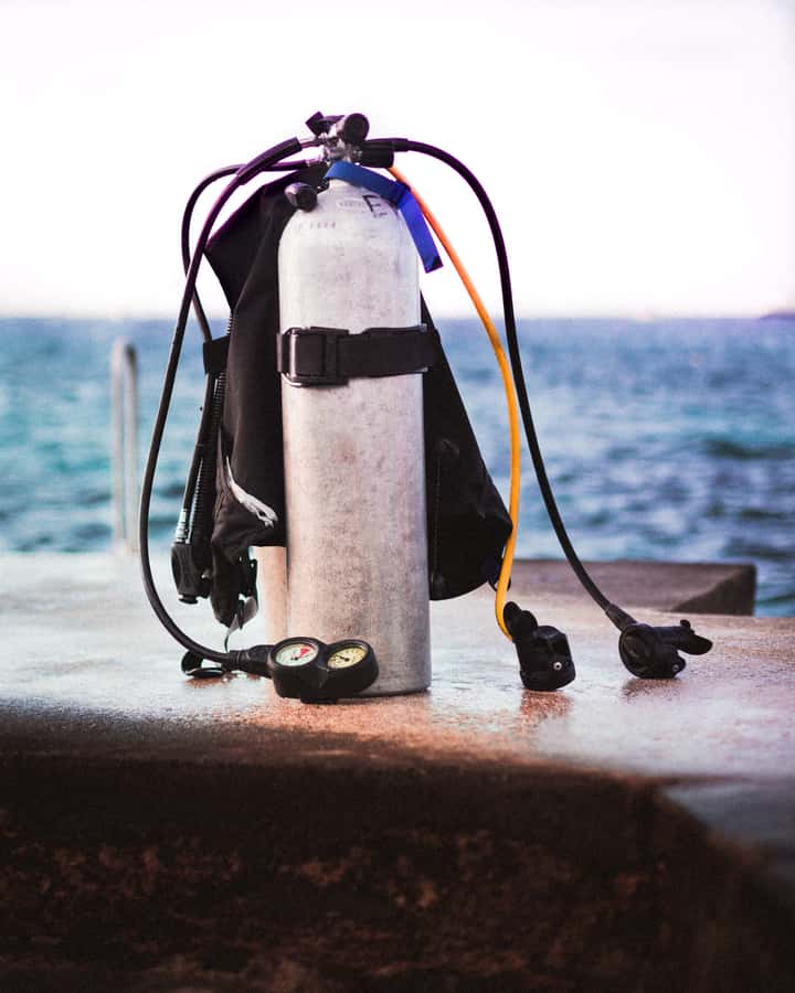 DSD Discover Scuba Diving for a beginner or Certified - Cedar Pride, Japanese Gardens, and the Aquarium