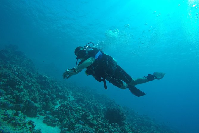 DSD "Discover Scuba Diving" (Min Age 10 Years) - Is $117.95 a Fair Price?