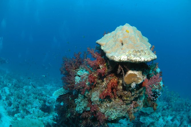 DSD "Discover Scuba Diving" (Min Age 10 Years) - Weather and Cancellation Rules Matter
