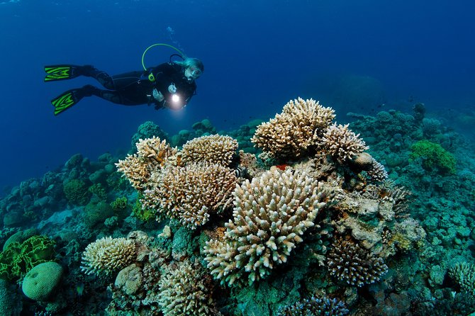 DSD "Discover Scuba Diving" (Min Age 10 Years) - The Aqaba Setting Keeps the Focus on the Water