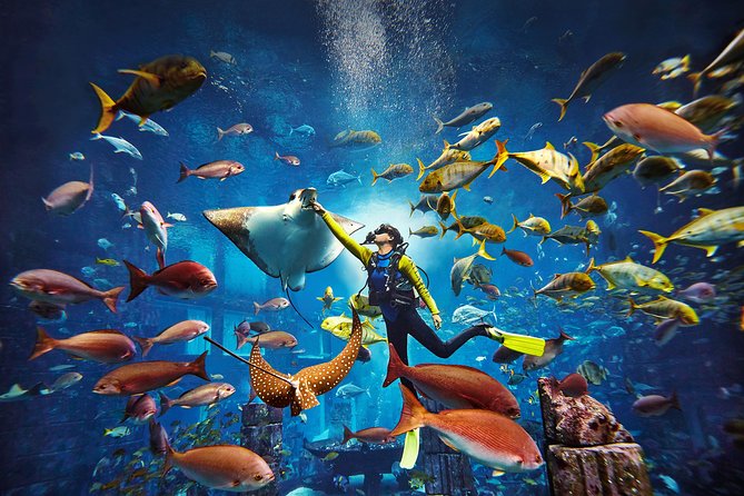 Dubai Lost Chambers Dive Explorer (Certification Required) - Arriving at Atlantis The Palm for a 9:00 am start