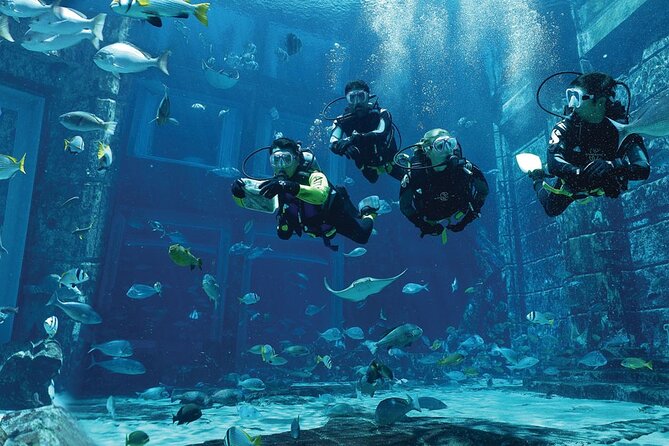 Dubai Lost Chambers Dive Explorer (Certification Required) - Preparing for the underwater session