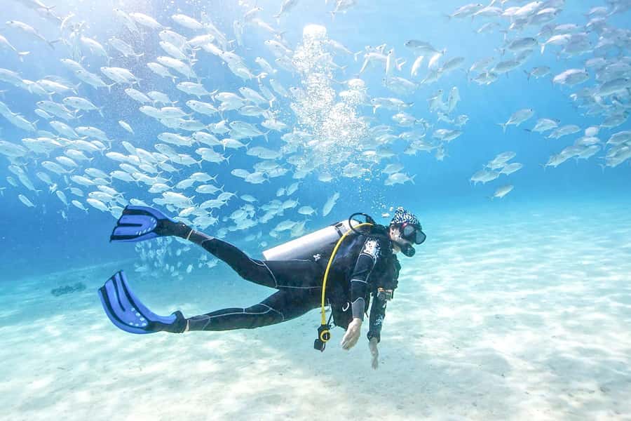 Dubai: PADI Basic Scuba Diving Course - Day One at Jumeirah 3 Beach: Four Controlled Water Sessions