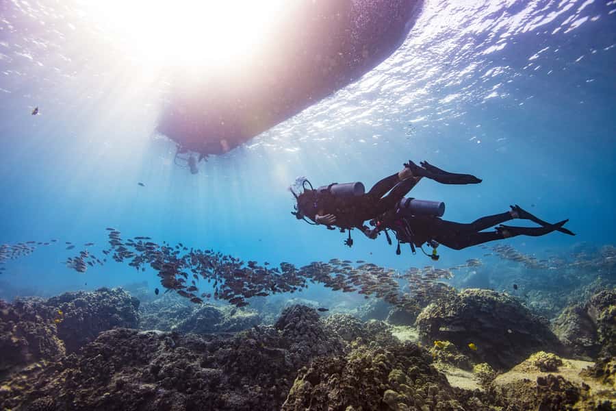 Dubai: PADI Open Water 18-Meter Diving Certification - What the 4.9 rating tells you, and what it does not