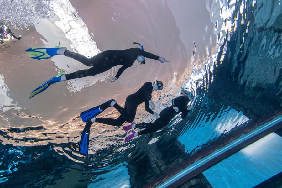 Dubai: Snorkeling at Deep Dive World's Deepest Pool - Seeing the sunken city from the surface