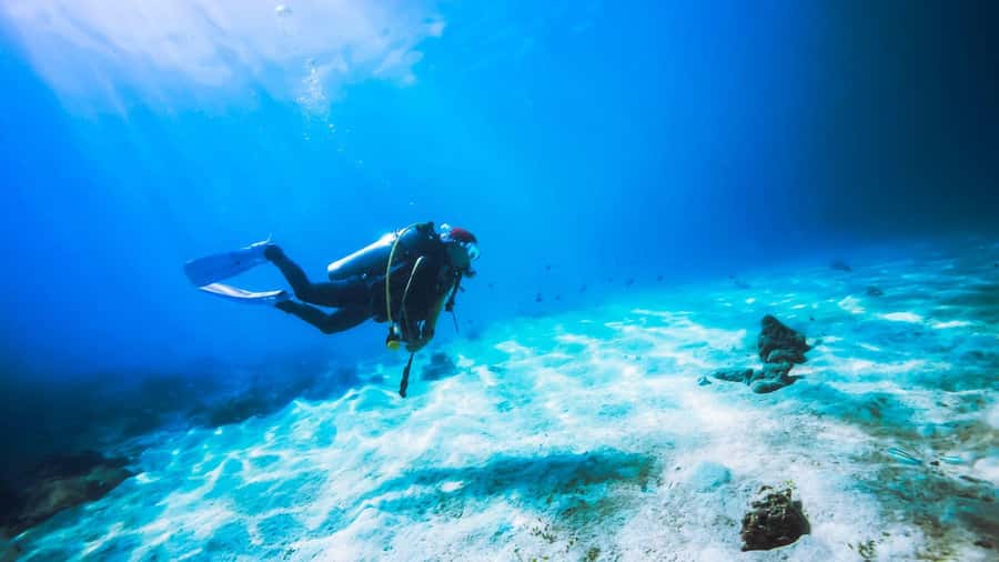 Dubai: Speedboat Scuba Diving on UAE’s Largest Diving Boat - What $149 really gets you