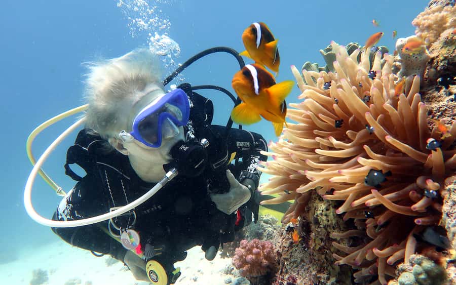 Dubai to Fujairah: First Scuba Diving + Transfer & BBQ - Key points at a glance