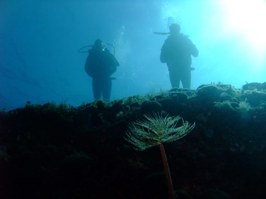 Dubrovnik: 1-Day Diving Package - Water temperature deserves serious attention