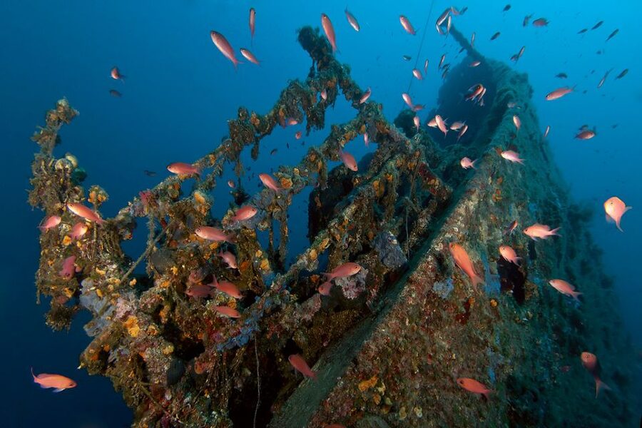 Dubrovnik: 1-Day Diving Package - Little Africa gives you a gentler introduction