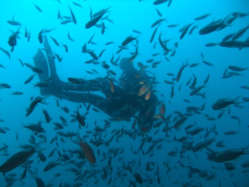 Dubrovnik: 1-Day Diving Package - The day starts at the Dubrovnik Palace hotel