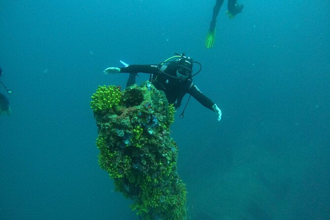 Dubrovnik 1 Dive for Certified Divers - Who will get the most from this session
