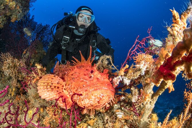 Dubrovnik 1 Dive for Certified Divers - Practical advice for a smoother outing