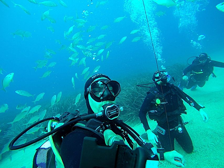 Dubrovnik 2-Hour Uncertified Divers Introductory Dive - Sea Life, Reef, and Clear Water