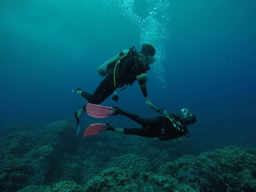 Easter Island: Tropical Diving - Key points to know before booking