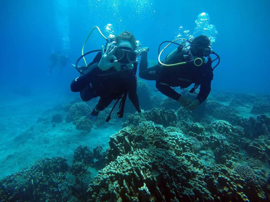 Easter Island: Tropical Diving - Hanga Piko is the practical starting point