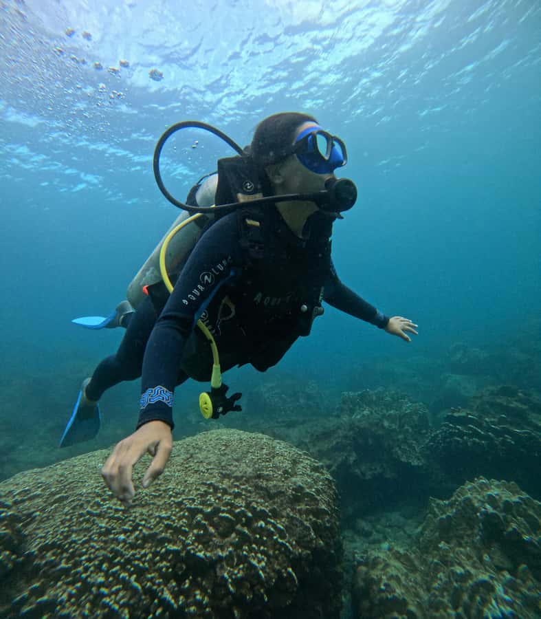 Easter Island: Tropical Diving - Is $139 a fair price?