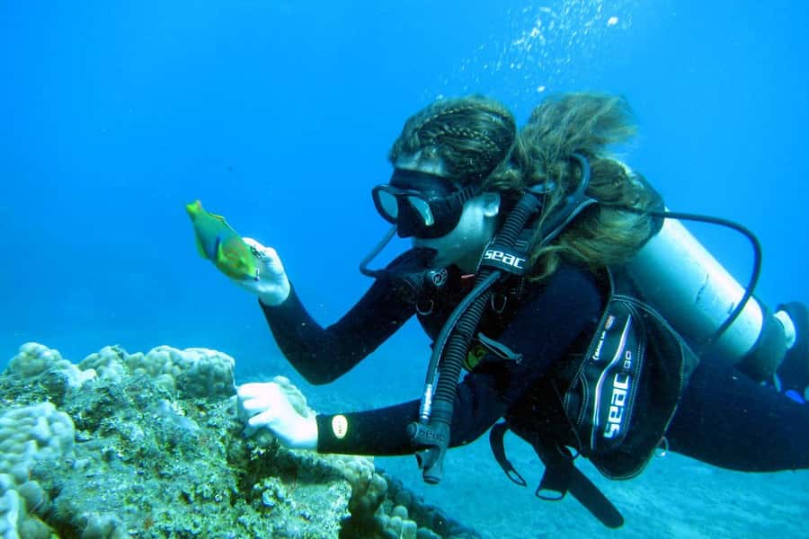 Easter Island: Tropical Diving - The 30-minute safety briefing sets the tone