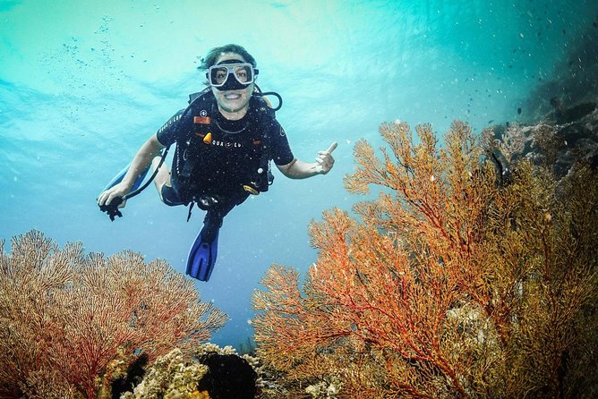 Easy Fun Scuba Dive in El Nido - Lunch on board, then a third underwater session