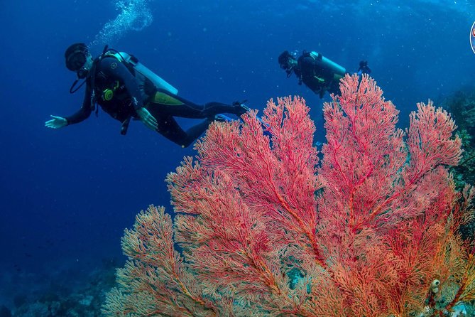 Easy Fun Scuba Dive in El Nido - Weather, sea conditions, and the firm cancellation rule