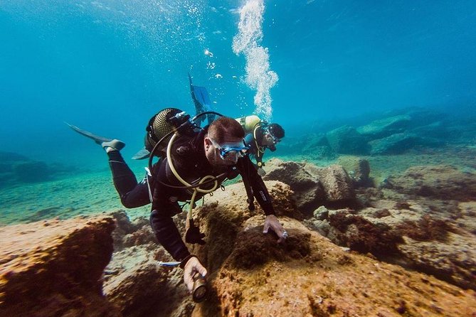 Eco Adapted Diving in Tenerife - Five things worth knowing before you book