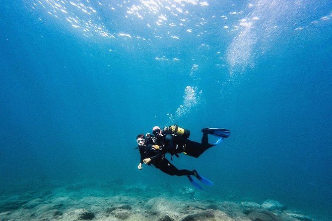 Eco Adapted Diving in Tenerife - Meeting Jacaré and getting comfortable