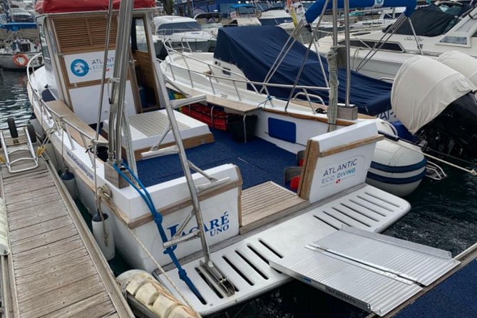 Eco Adapted Diving in Tenerife - A private instructor for your first underwater session