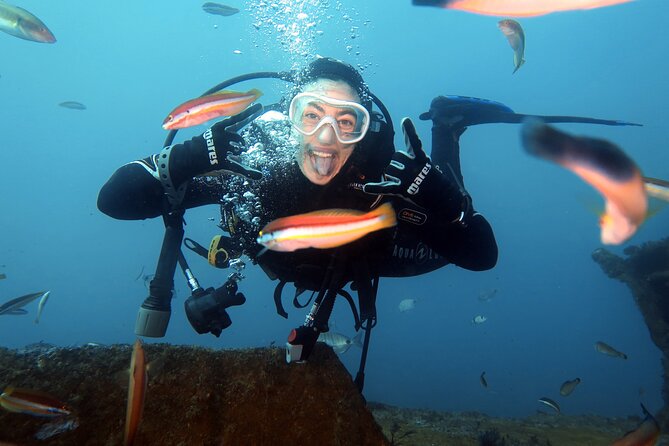 Eco - Try Dive - What makes this Sesimbra experience different
