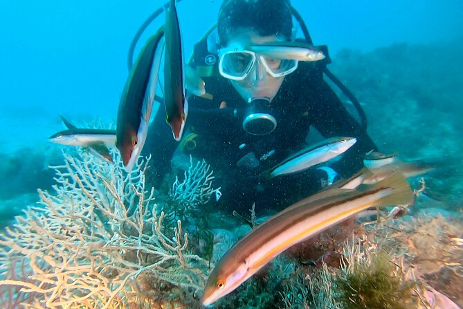 Eco - Try Dive - The first briefing: getting comfortable before entering the water