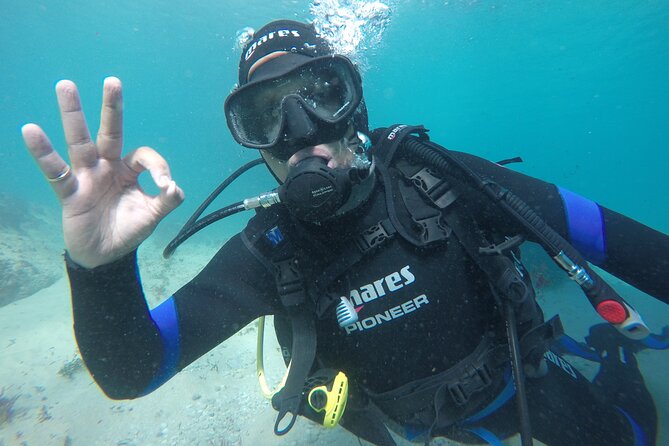 Eco - Try Dive - How the $103.18 price measures up