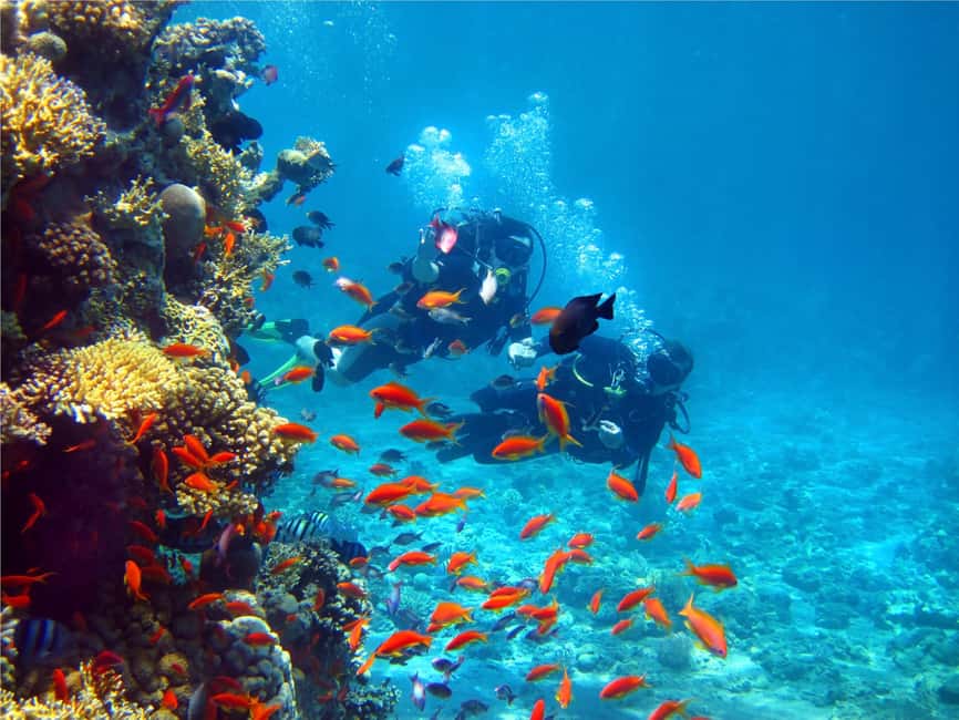 Eilat: Intro to Diving with Certified Instructor - How the instructor affects the experience
