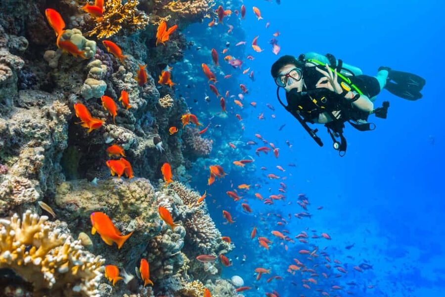Eilat: Intro to Diving with Certified Instructor - Who should book this experience?