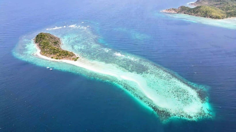 El Nido: Manta Ray Diving Experience in Sibaltan - How to make the day run smoothly