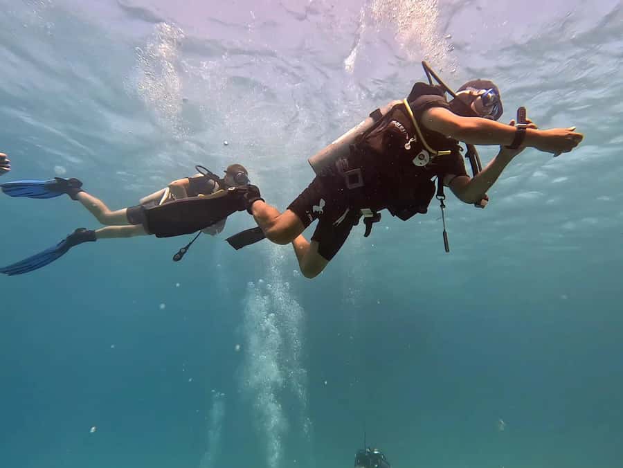 El Quseir: Red Sea Diving - Reefs, Caves & Marine Wildlife - Why Experienced Participants May Still Enjoy It