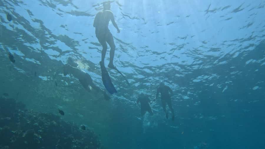El Quseir: Red Sea Diving - Reefs, Caves & Marine Wildlife - What to Bring and What to Leave Alone