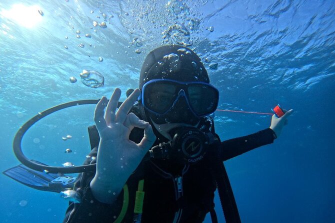 “Embark on a Professional and Passionate Scuba Diving Adventure!" - Is $105 a fair price?