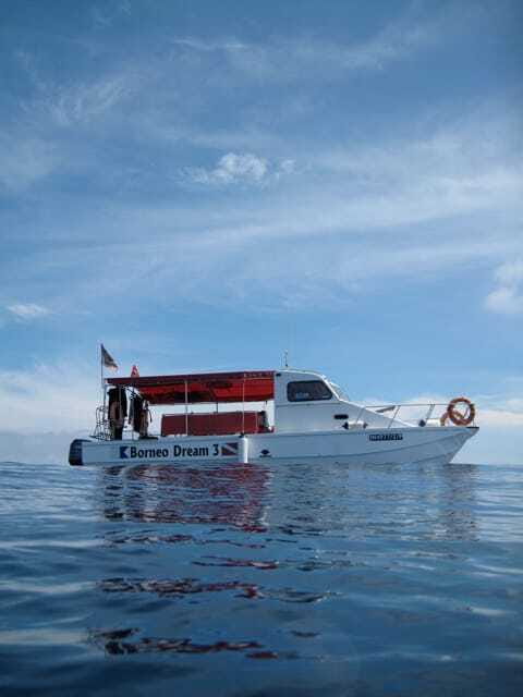 Enjoy 3 Fun Dives in Kota Kinabalu | Certified Divers - Key points to know before booking