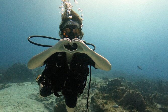 Enjoy two dives without previous experience with a boat trip - What You Are Actually Booking at 9:30 a.m.
