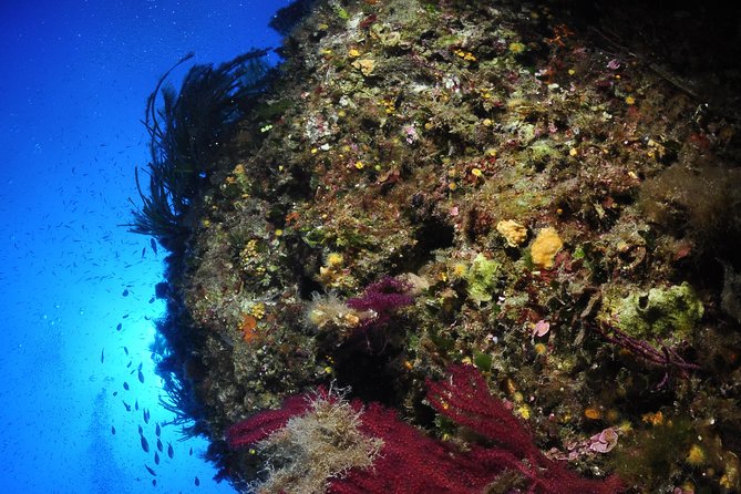 Etna & Diving Jeep Tour - Starting at Aci Castello at 8:00 a.m.