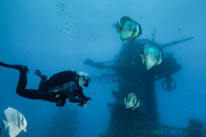 Ex- HMAS Swan Wreck Double Boat Dive - Why the HMAS Swan is worth your time